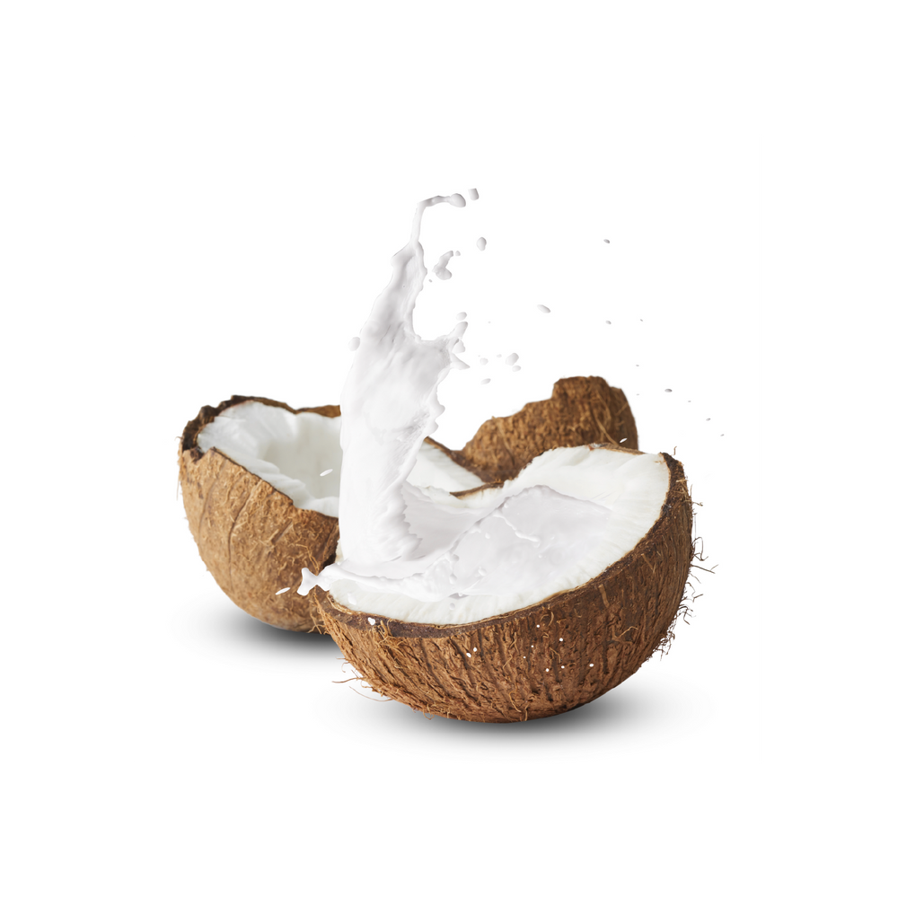 
                  
                    Coconut Cream (Case of 6)
                  
                