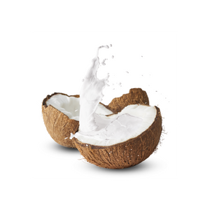 
                  
                    Coconut Cream (Case of 6)
                  
                