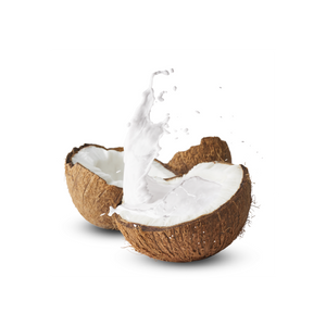 
                  
                    Coconut Milk (Case of 6)
                  
                